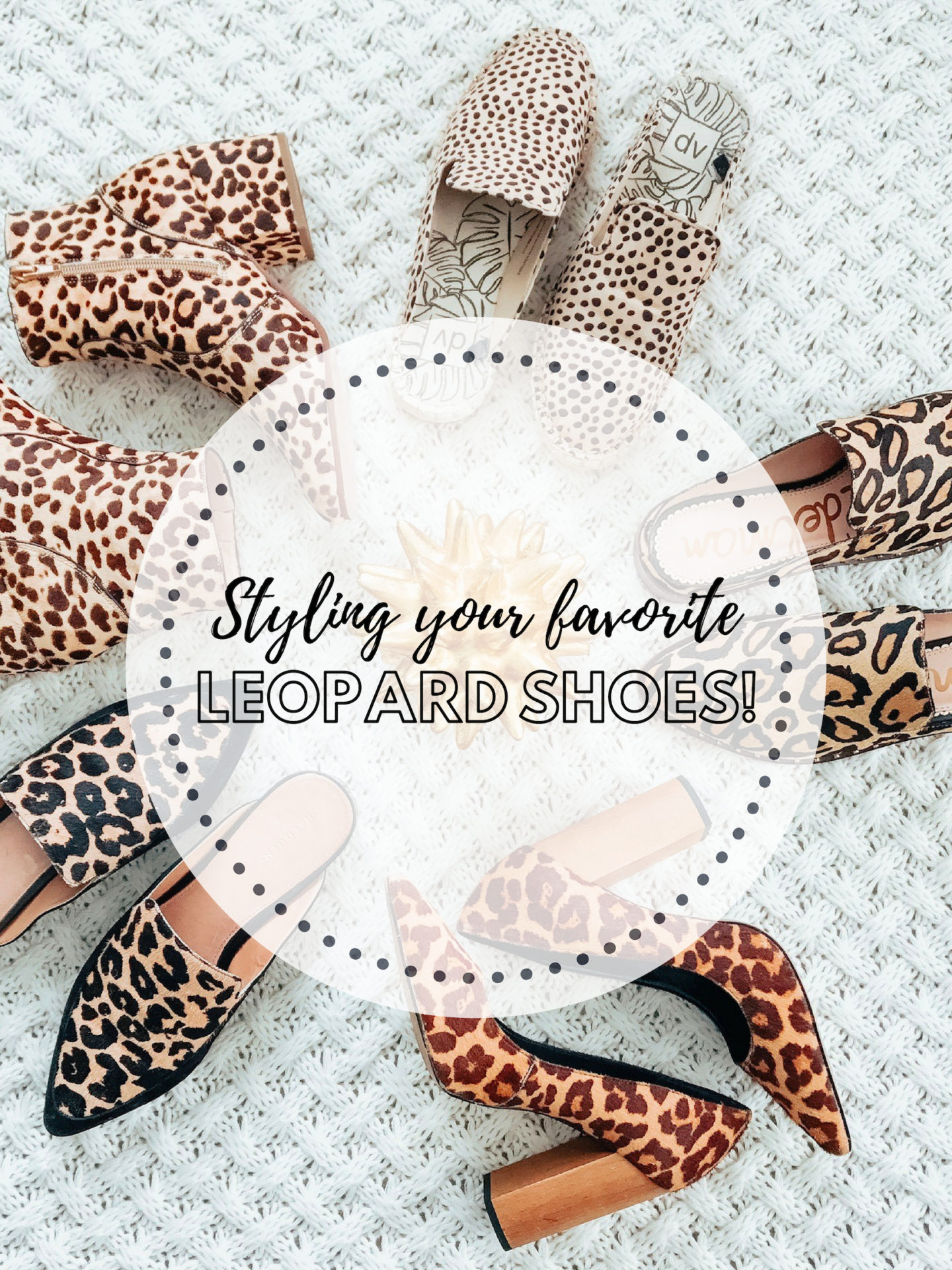 How to Style 3 Types of Must Have Leopard Shoes - Cirque du SoLayne